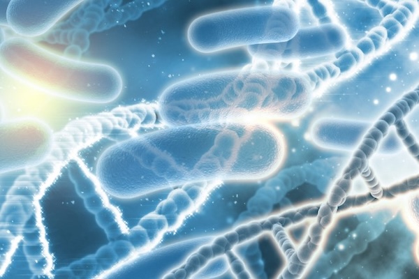 Mantenimiento de Legionella en Torres de Refrigeración y ventilación